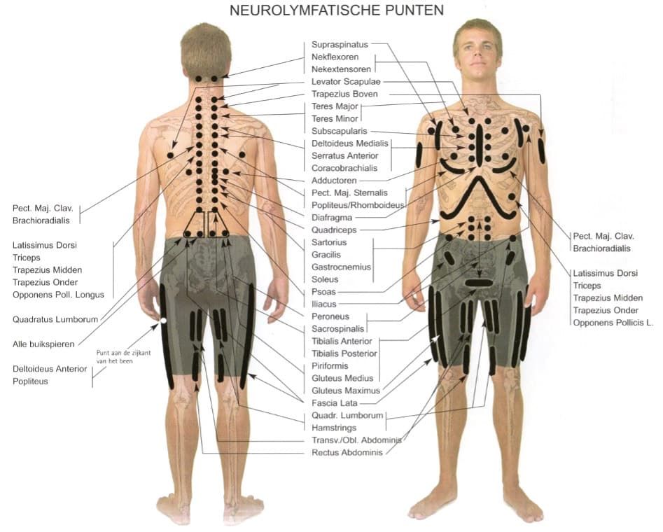 neurolymfatische punten